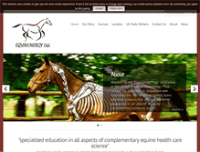 Tablet Screenshot of equinenergy.com